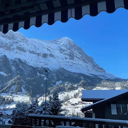 Basic Jungfrau Деревянный коттедж Гриндельвальд