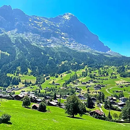 Basic Jungfrau *