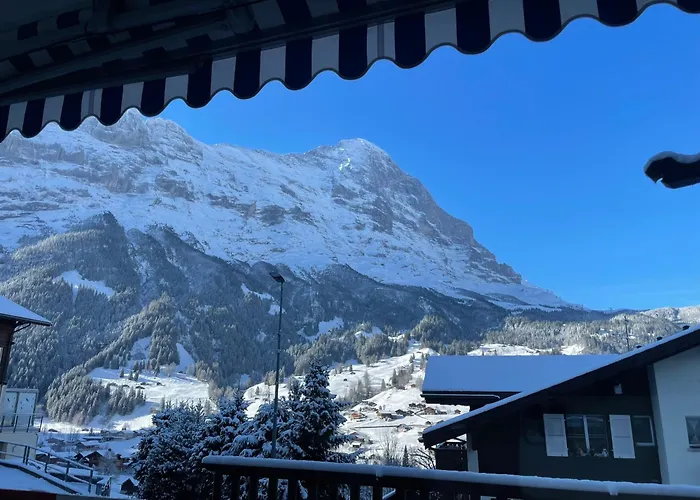 Basic Jungfrau Domek letniskowy Grindelwald